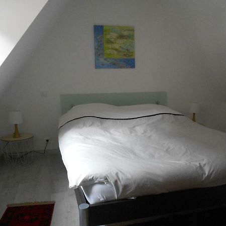 Gite L'Authentique Avec Spa En Option オルシュヴィラー エクステリア 写真